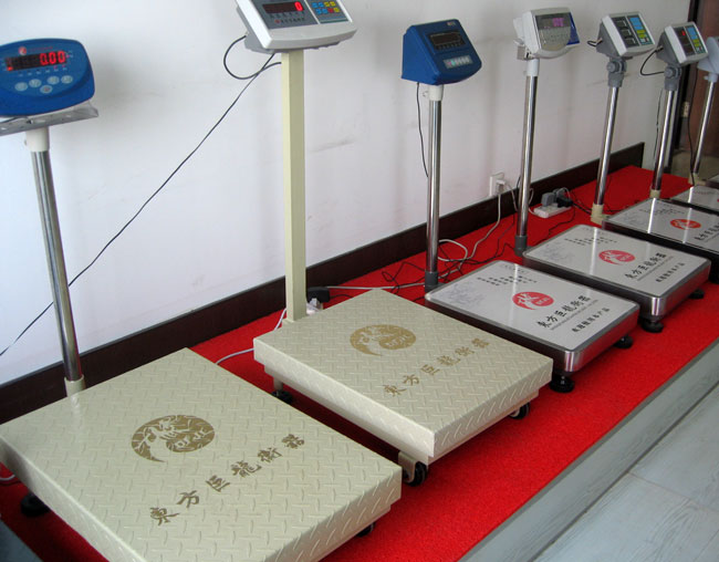 TCS-ZDD3 折疊式電子臺秤