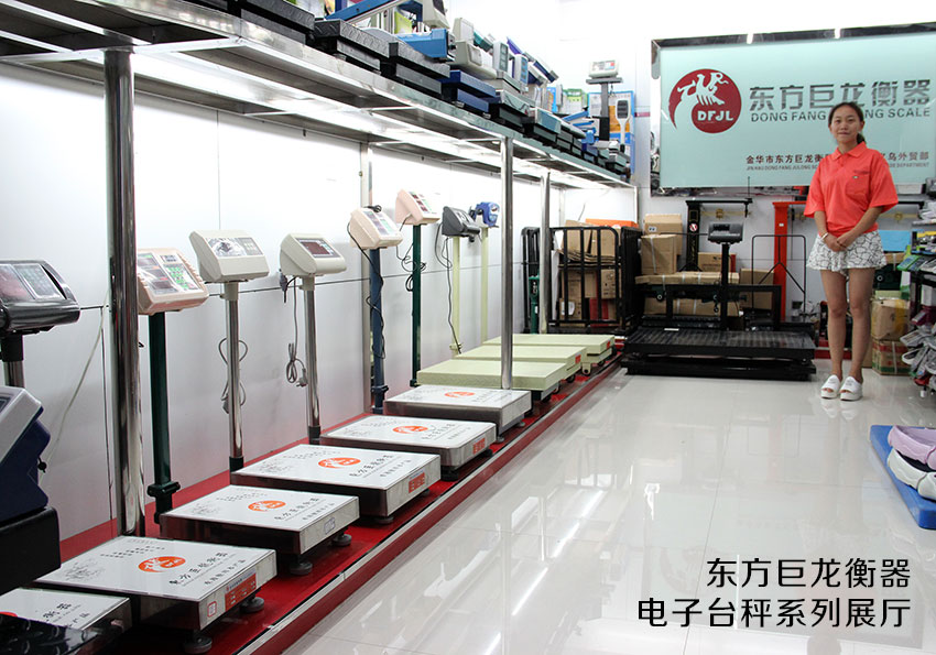 TCS-D3 固定式支架電子臺秤